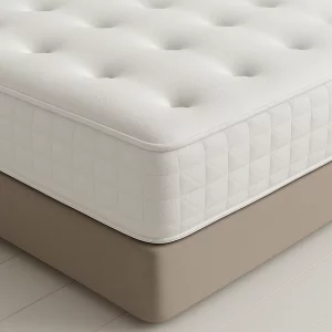 Traditional Orthopedic