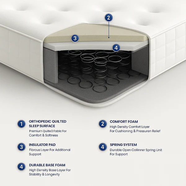 Traditional Orthopedic - Image 2
